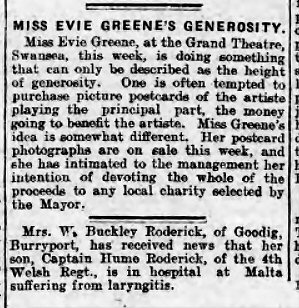 cambrian daily leader swansea 6-8-1915